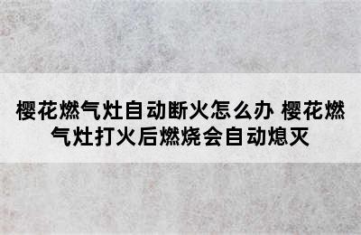 樱花燃气灶自动断火怎么办 樱花燃气灶打火后燃烧会自动熄灭